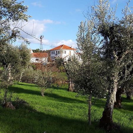 Sertã Quinta Quatro Ventos B&B 외부 사진