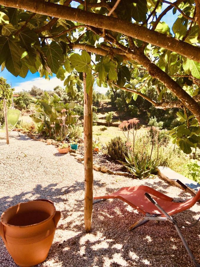 Sertã Quinta Quatro Ventos B&B 외부 사진
