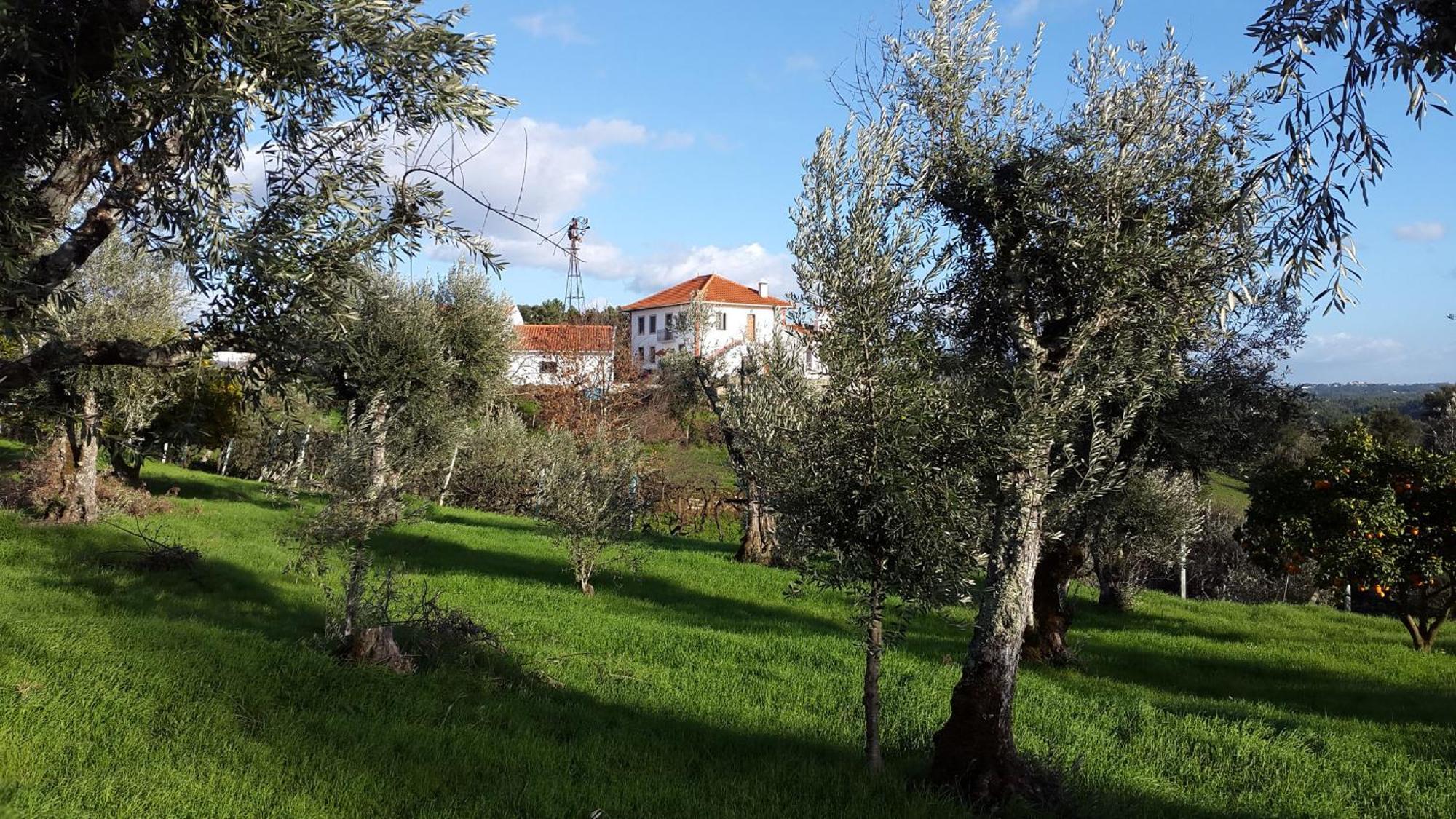 Sertã Quinta Quatro Ventos B&B 외부 사진